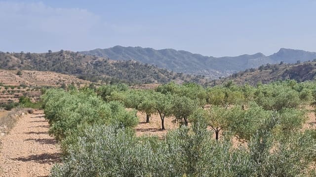 Mark till salu i Macisvenda, Abanilla - 47 995 € (Ref: 9081827)