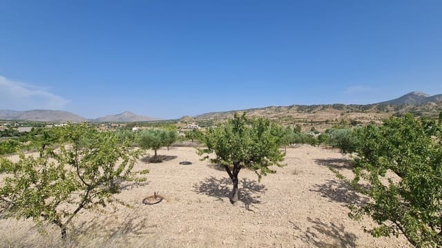 Undeveloped Land for sale in Macisvenda, Abanilla - € 41,995 (Ref: 9081828)