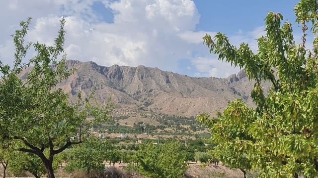 Undeveloped Land for sale in Macisvenda, Abanilla - € 41,995 (Ref: 9081828)