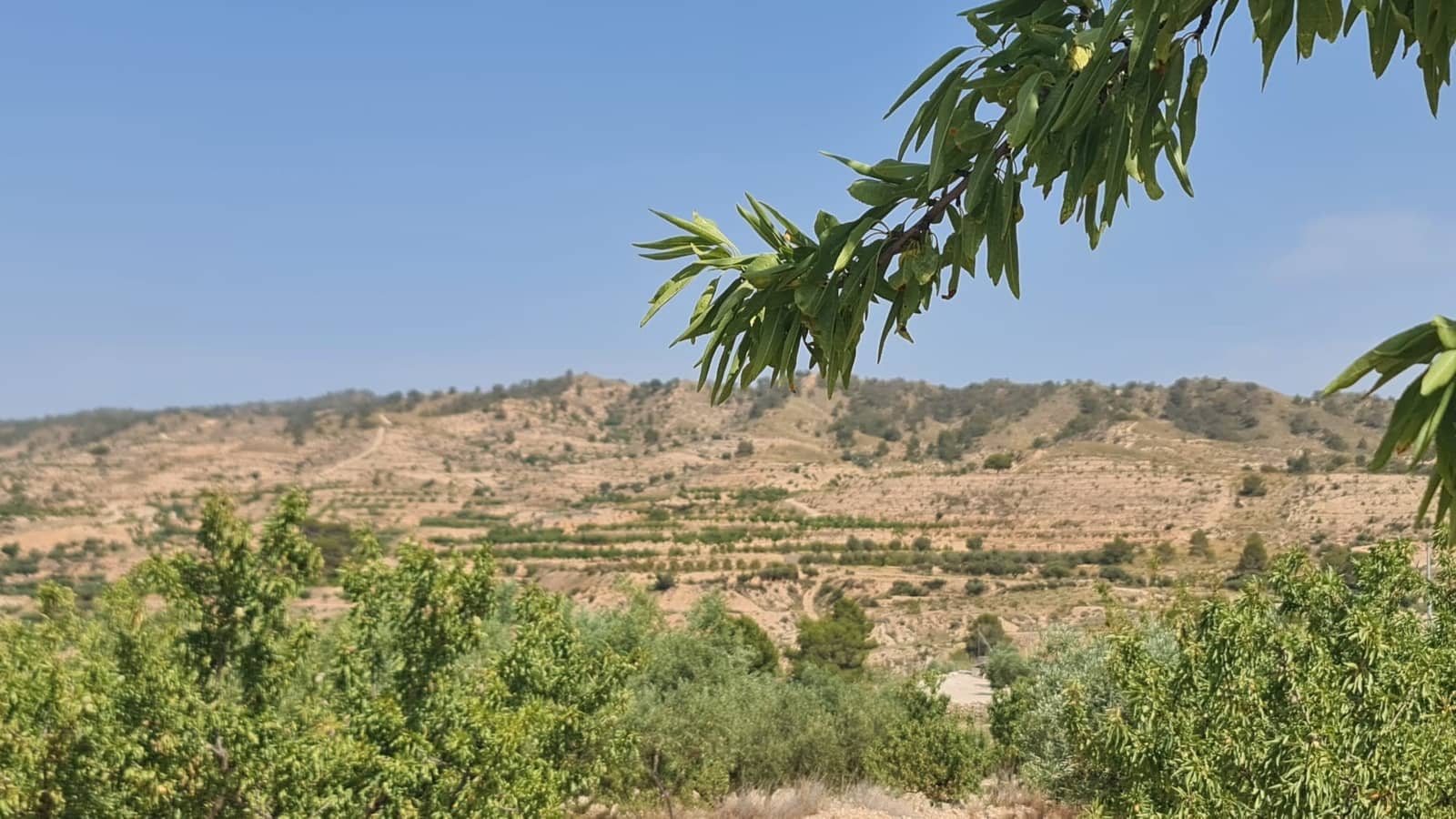 Ubebygd land til salgs i Macisvenda - € 41 995 (Ref: 9081829)