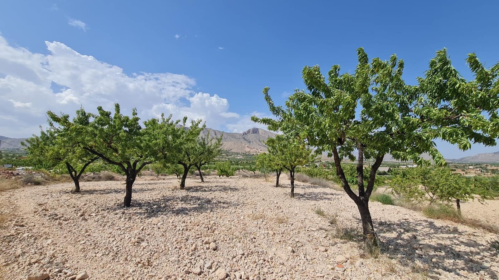 Ubebygd land til salgs i Macisvenda - € 41 995 (Ref: 9081829)