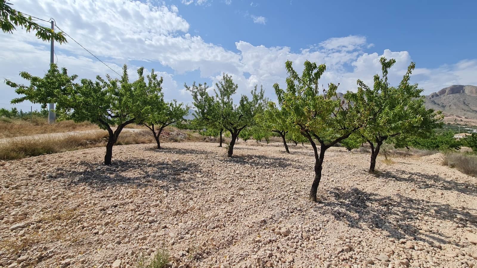 Ubebygd land til salgs i Macisvenda - € 41 995 (Ref: 9081829)