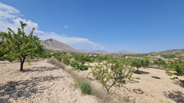 Undeveloped Land for sale in Macisvenda, Abanilla - € 41,995 (Ref: 9081829)