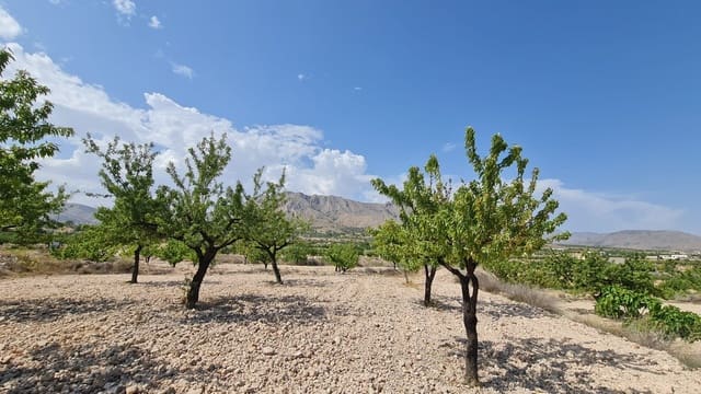 Undeveloped Land for sale in Macisvenda, Abanilla - € 41,995 (Ref: 9081829)