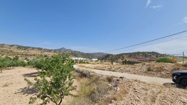 Mark till salu i Macisvenda, Abanilla - 41 995 € (Ref: 9081829)
