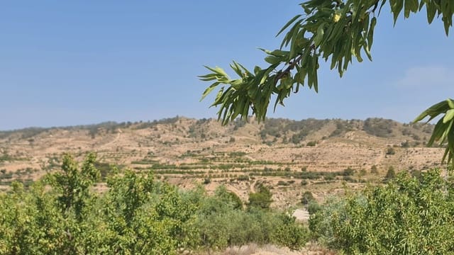 Mark till salu i Macisvenda, Abanilla - 41 995 € (Ref: 9081829)