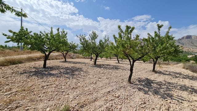 Mark till salu i Macisvenda, Abanilla - 41 995 € (Ref: 9081829)