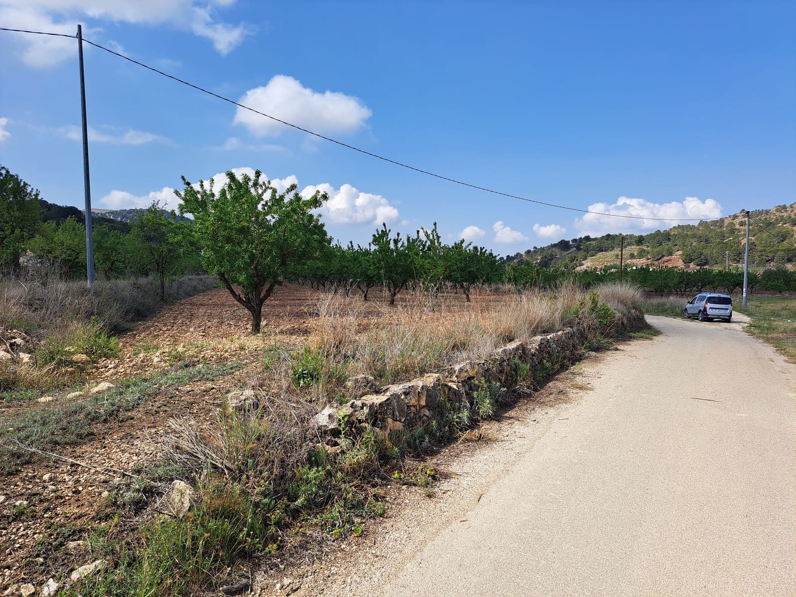 Grond te koop in Pinoso - € 49.500 (Ref: 9081831)