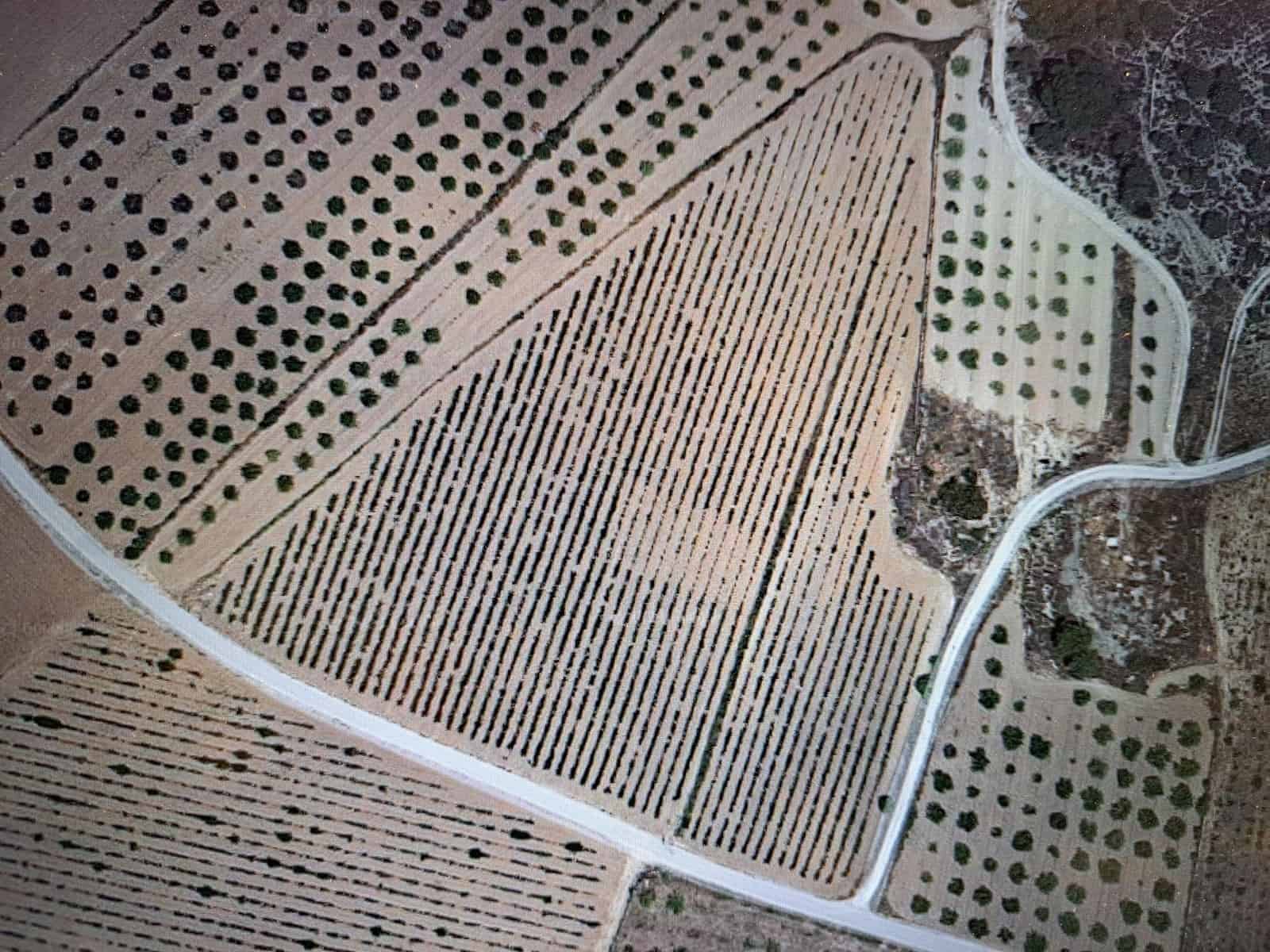 Terre non Aménagée à vendre à Pinoso - 65 000 € (Ref: 9081833)