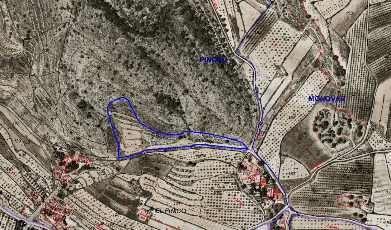 Grond te koop in Pinoso - € 80.000 (Ref: 9081834)