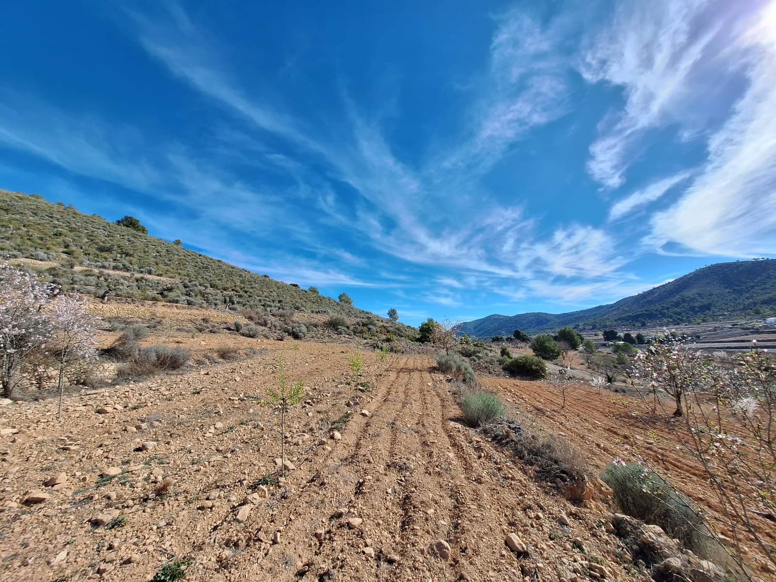 Grond te koop in Pinoso - € 80.000 (Ref: 9081834)