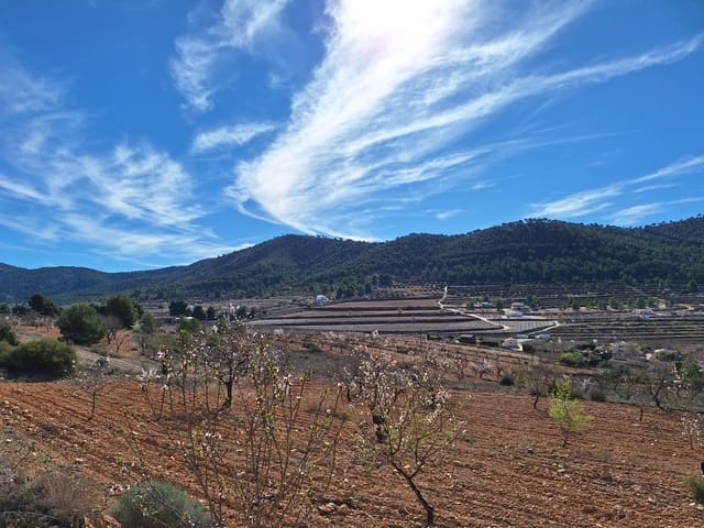 Grunde uden byggetilladelser til salg i Pinoso - € 80.000 (Ref: 9081834)