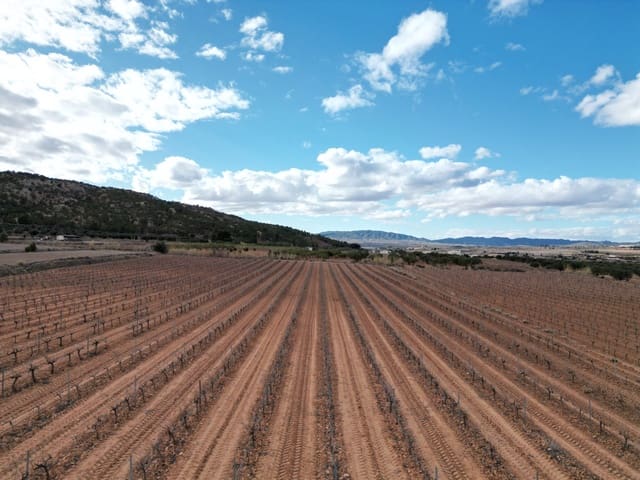 Terre non Aménagée à vendre à Pinoso - 48 000 € (Ref: 9081835)