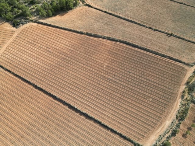 Terre non Aménagée à vendre à Pinoso - 48 000 € (Ref: 9081835)