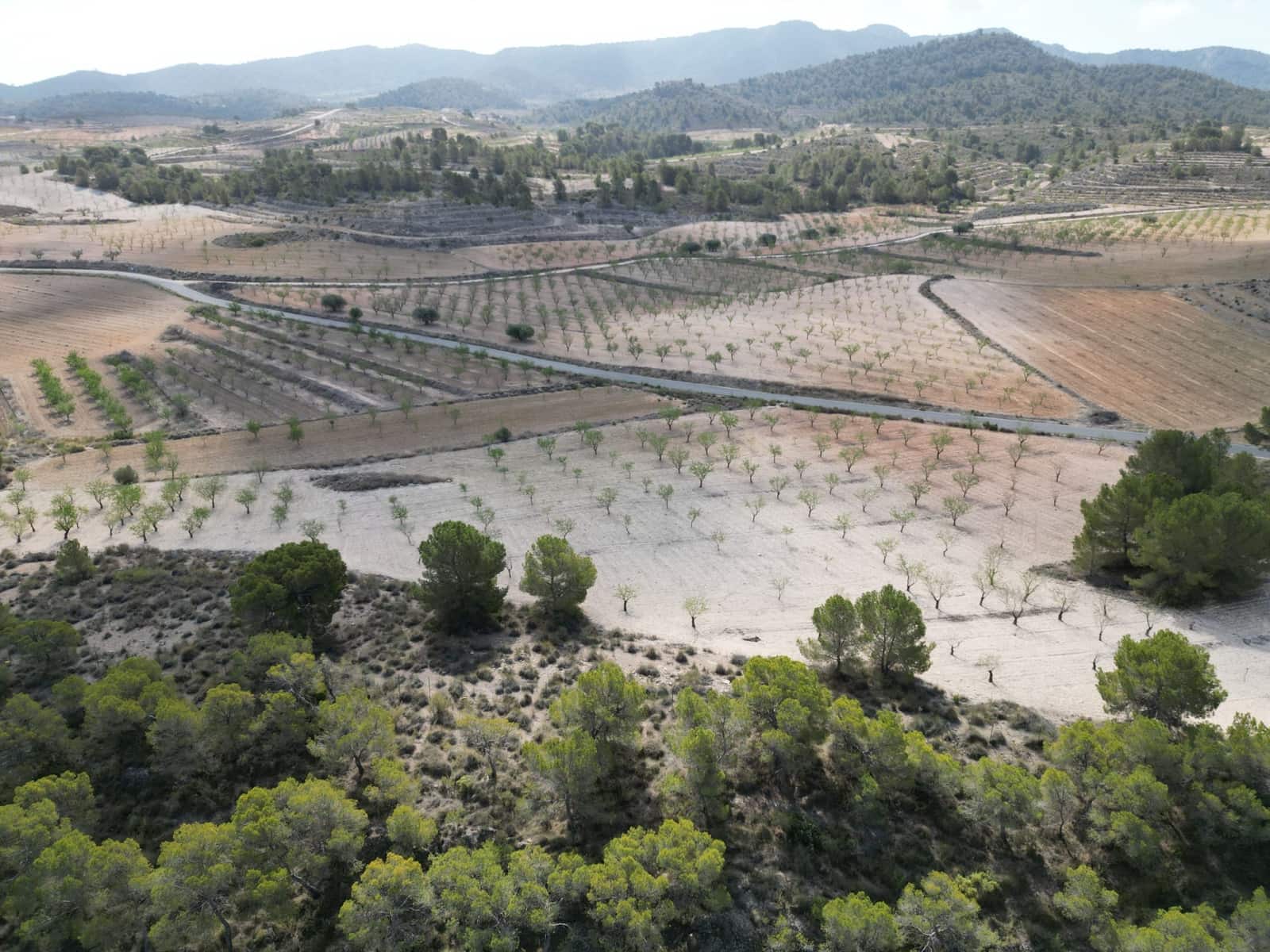 Landgrundstück zu verkaufen in La Zarza - 80.000 € (Ref: 9081838)