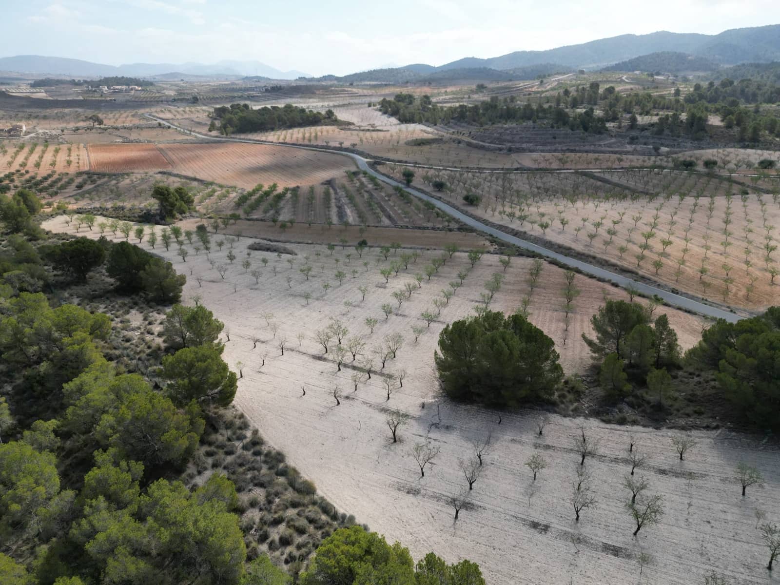 Landgrundstück zu verkaufen in La Zarza - 80.000 € (Ref: 9081838)