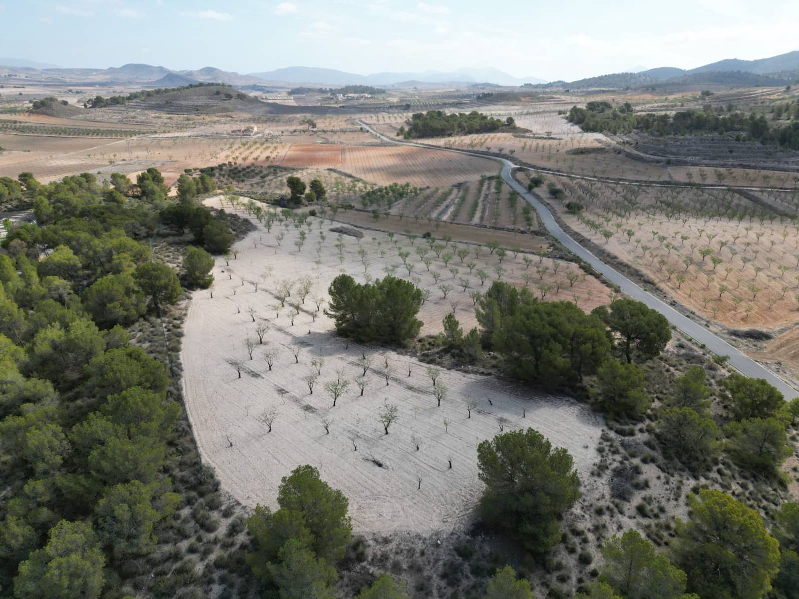 Landgrundstück zu verkaufen in La Zarza - 80.000 € (Ref: 9081838)