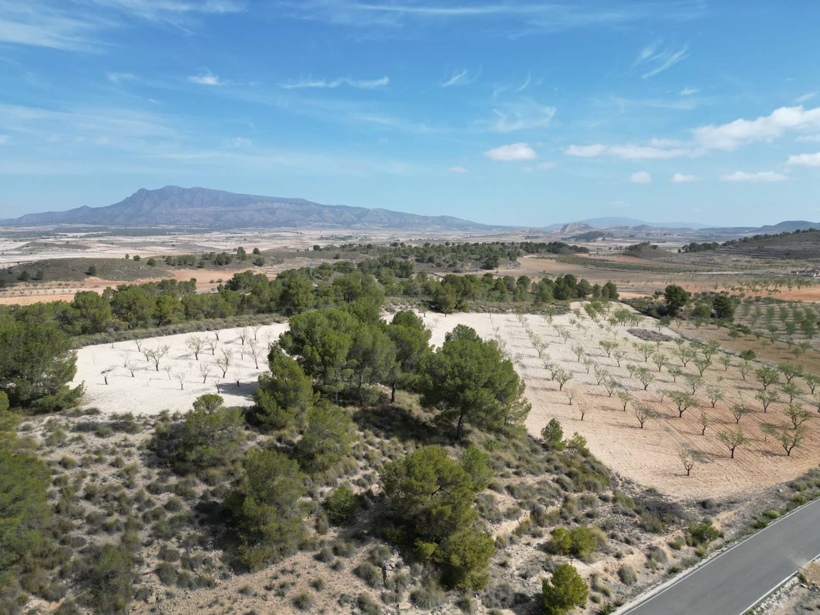 Landgrundstück zu verkaufen in La Zarza - 80.000 € (Ref: 9081838)