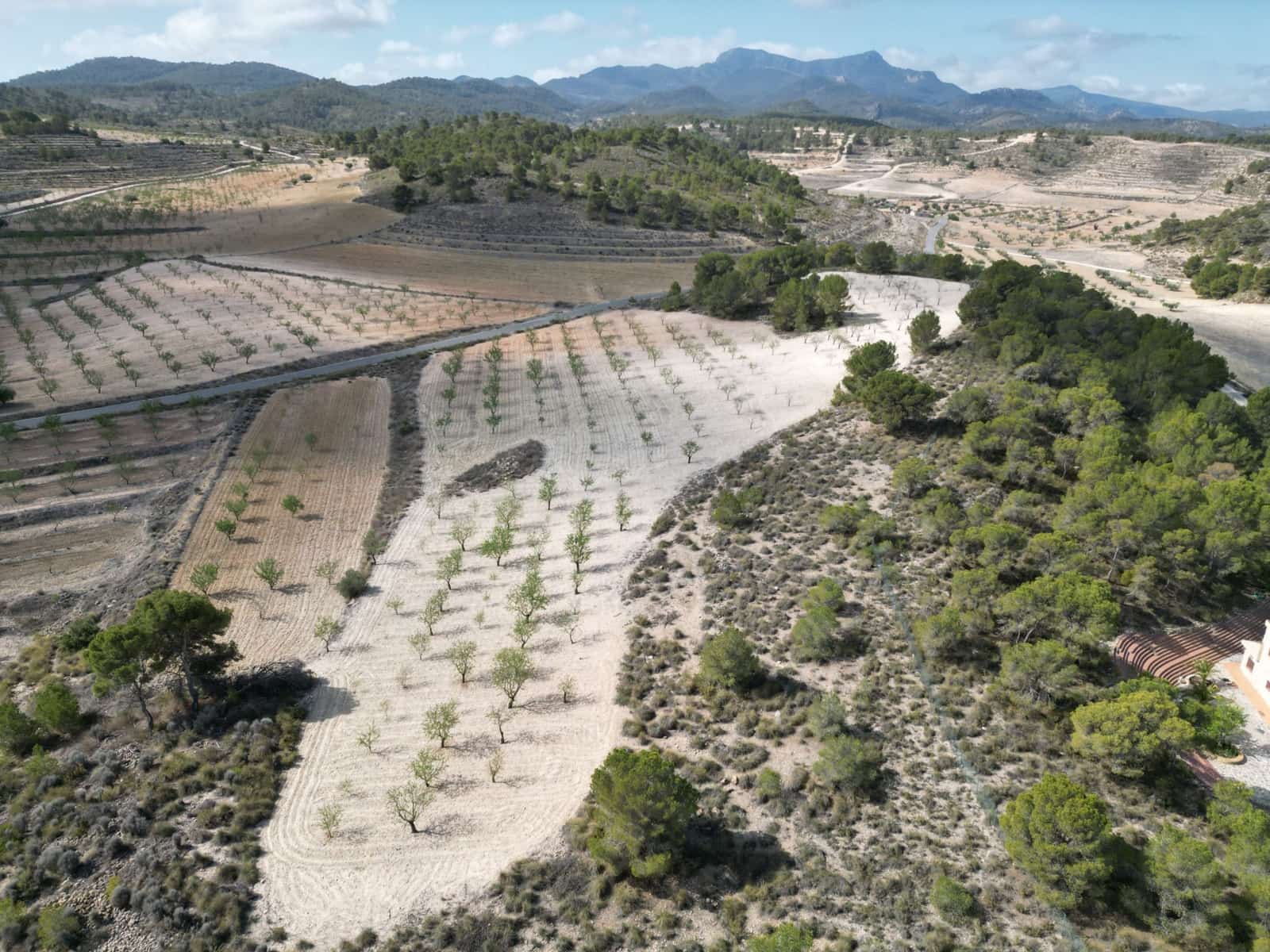 Landgrundstück zu verkaufen in La Zarza - 80.000 € (Ref: 9081838)