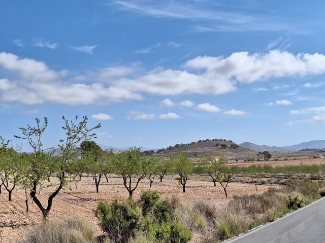 Undeveloped Land for sale in La Zarza, Jumilla - € 80,000 (Ref: 9081838)