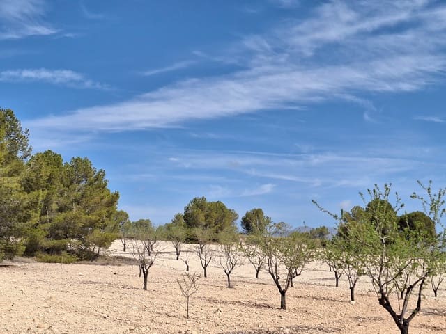 Undeveloped Land for sale in La Zarza, Jumilla - € 80,000 (Ref: 9081838)
