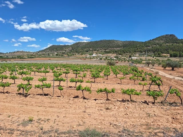 Ubebygd land til salgs i Pinoso - € 80 000 (Ref: 9081839)