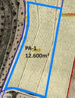 Undeveloped Land for sale in Pinoso - € 60,000 (Ref: 9081840)