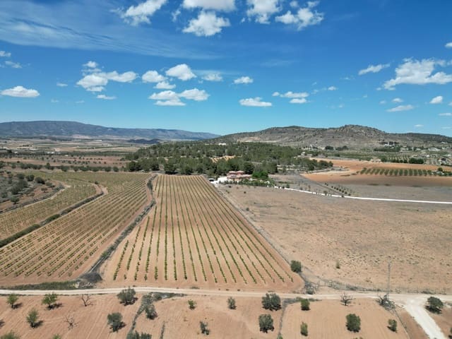 Undeveloped Land for sale in Pinoso - € 60,000 (Ref: 9081840)