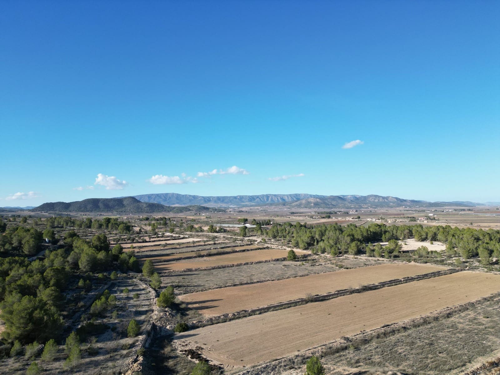 Grond te koop in Monovar / Monover - € 54.950 (Ref: 9081842)