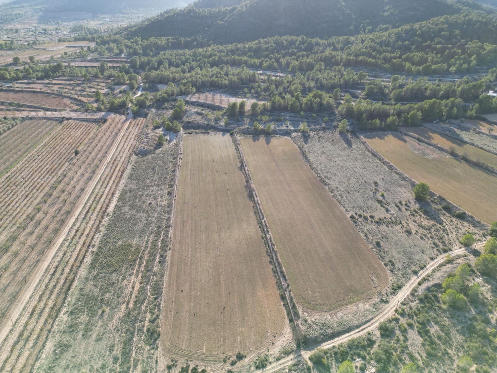 Grond te koop in Monovar / Monover - € 54.950 (Ref: 9081842)