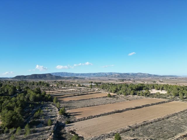 Teren niezagospodarowany na sprzedaż w Monóvar / Monóver - 54 950 € (Ref: 9081842)