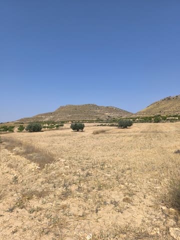 Ubebygd land til salgs i Torre del Rico, Jumilla - € 21 000 (Ref: 9103879)