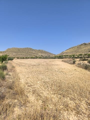 Ubebygd land til salgs i Torre del Rico, Jumilla - € 21 000 (Ref: 9103879)