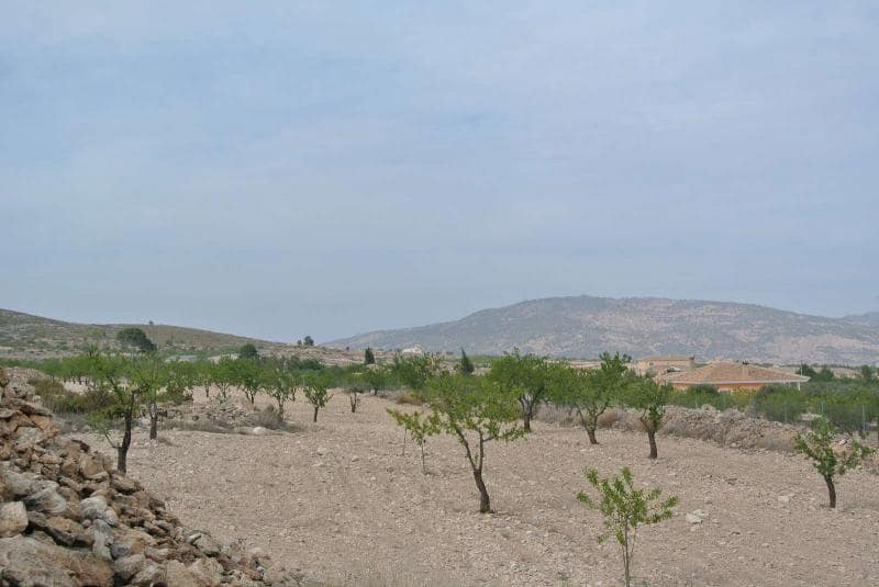 Ubebygd land til salgs i Jumilla - € 27 995 (Ref: 9105156)