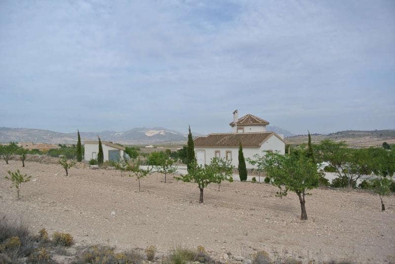 Ubebygd land til salgs i Jumilla - € 27 995 (Ref: 9105156)