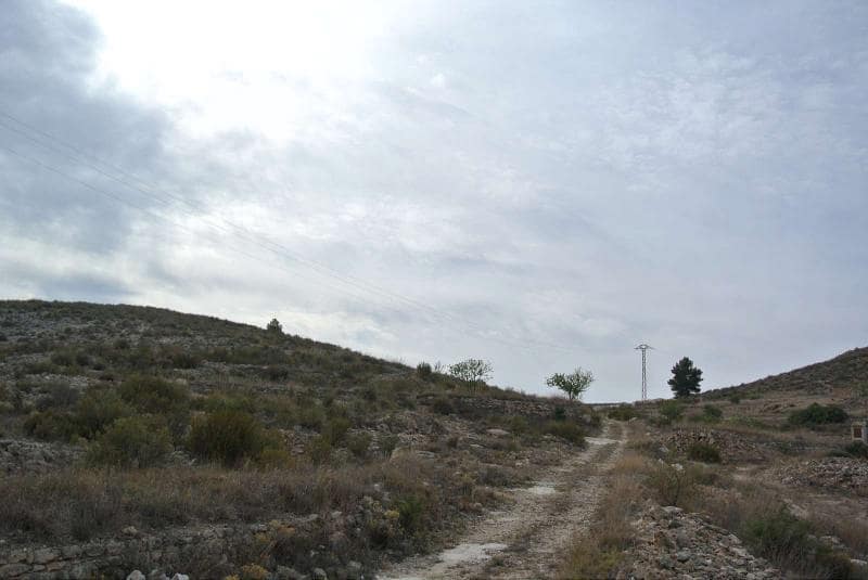 Ubebygd land til salgs i Jumilla - € 27 995 (Ref: 9105156)