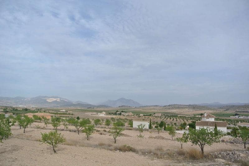 Ubebygd land til salgs i Jumilla - € 27 995 (Ref: 9105156)