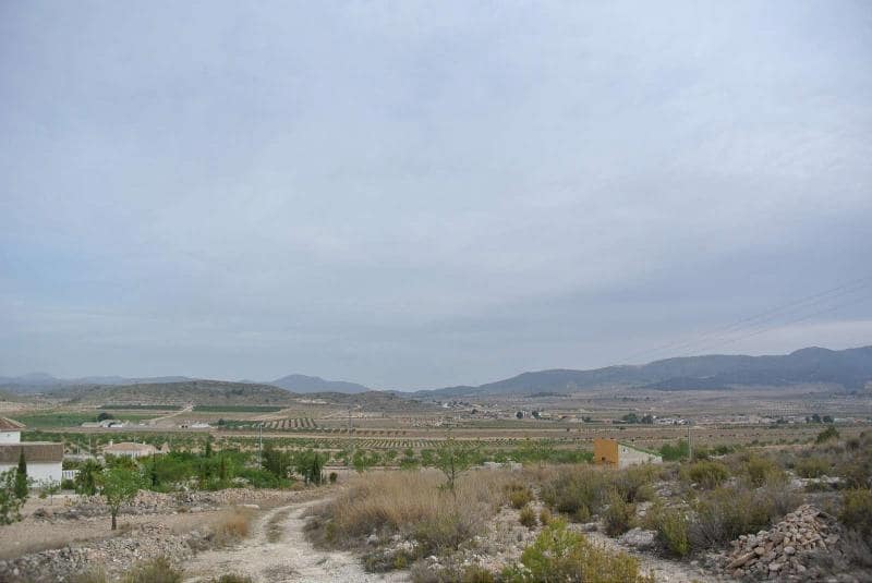 Ubebygd land til salgs i Jumilla - € 27 995 (Ref: 9105156)
