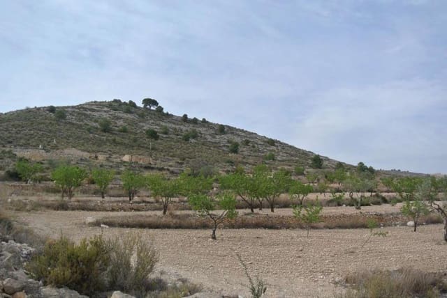 Ubebygd land til salgs i Jumilla - € 27 995 (Ref: 9105156)
