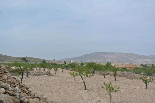 Undeveloped Land for sale in Jumilla - € 27,995 (Ref: 9105156)