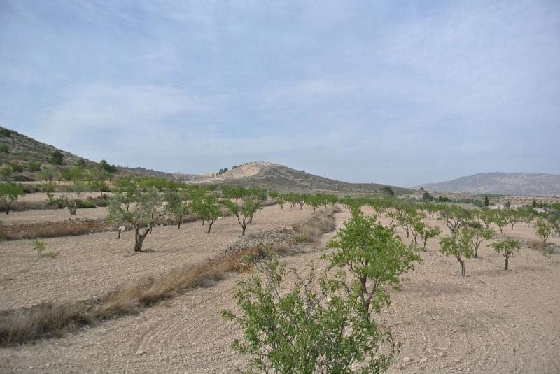 Ubebygd land til salgs i Jumilla - € 27 995 (Ref: 9105156)