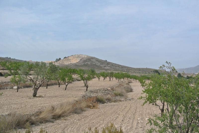 Ubebygd land til salgs i Jumilla - € 27 995 (Ref: 9105156)
