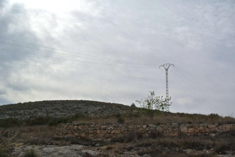 Undeveloped Land for sale in Jumilla - € 27,995 (Ref: 9105156)