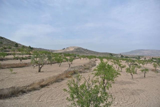 Undeveloped Land for sale in Jumilla - € 27,995 (Ref: 9105156)