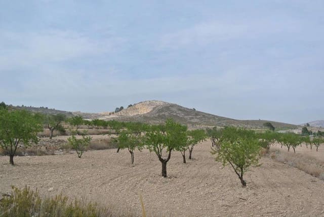 Undeveloped Land for sale in Jumilla - € 27,995 (Ref: 9105156)