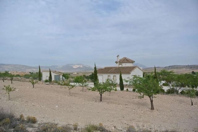 Terreno/Finca Rústica en Jumilla en venta - 27.995 € (Ref: 9105156)