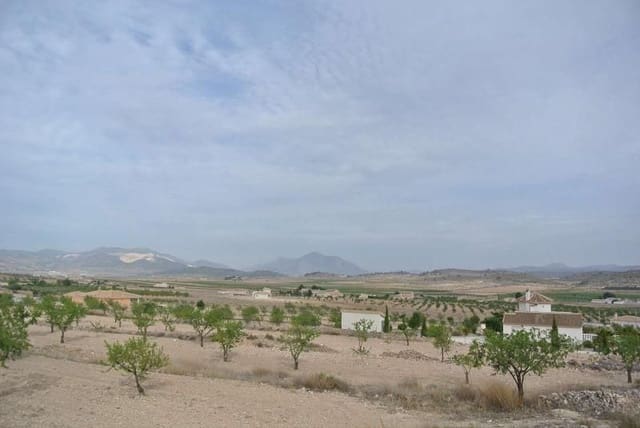 Terreno/Finca Rústica en Jumilla en venta - 27.995 € (Ref: 9105156)