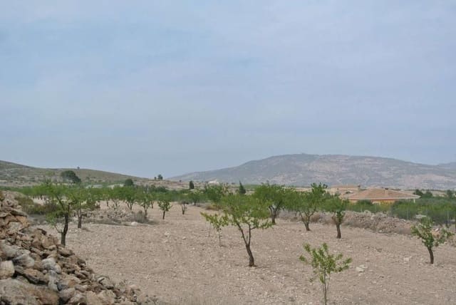 Grond te koop in Jumilla - € 27.995 (Ref: 9105156)