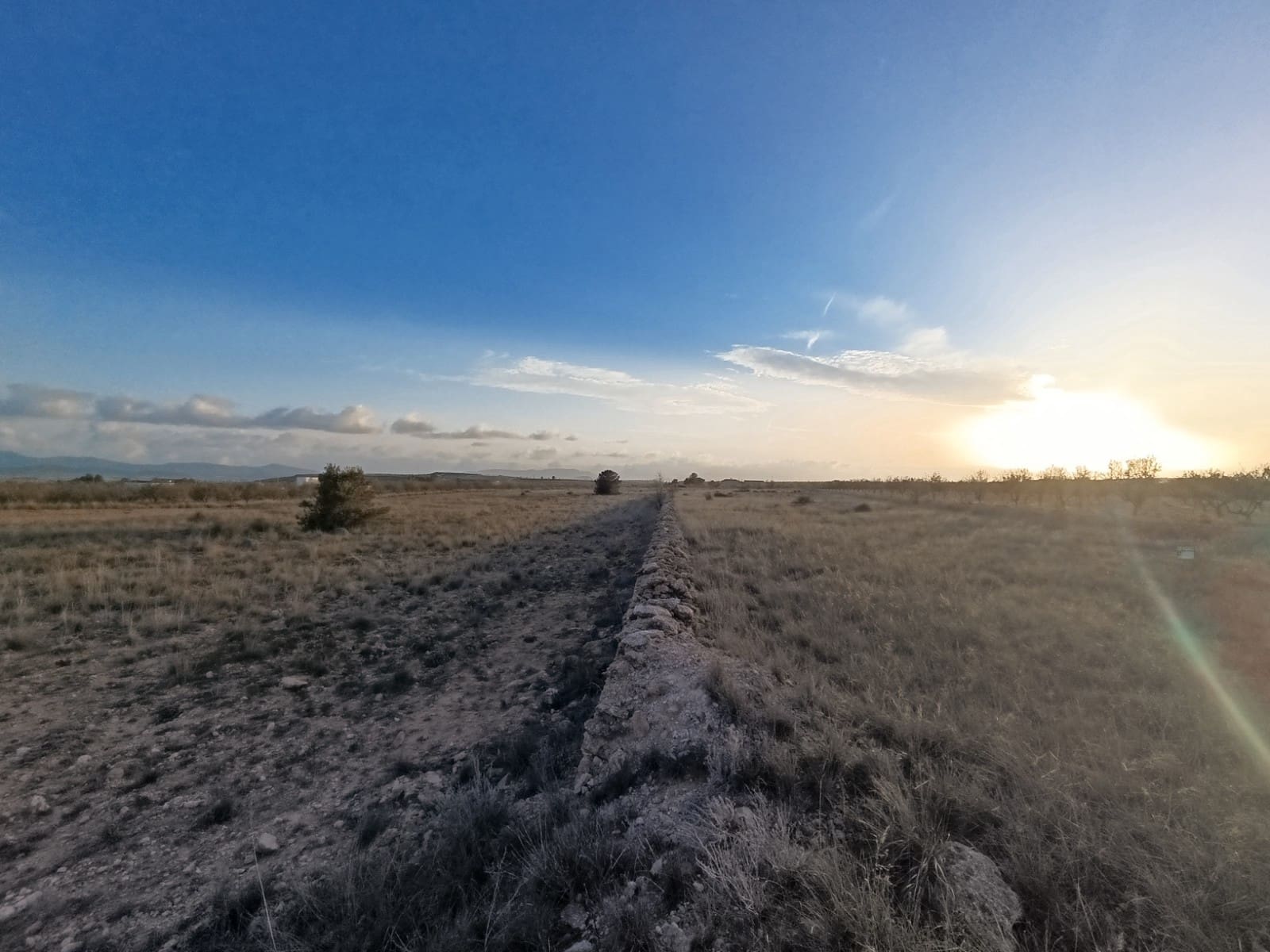 Grond te koop in Pinoso - € 21.995 (Ref: 9105561)