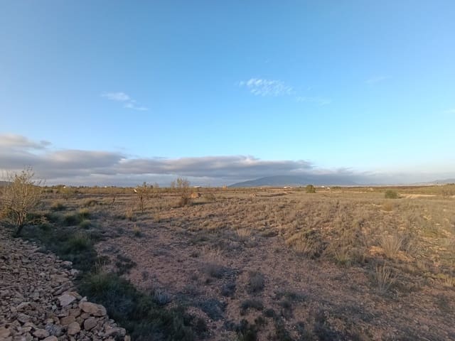 Ubebygd land til salgs i Pinoso - € 21 995 (Ref: 9105561)